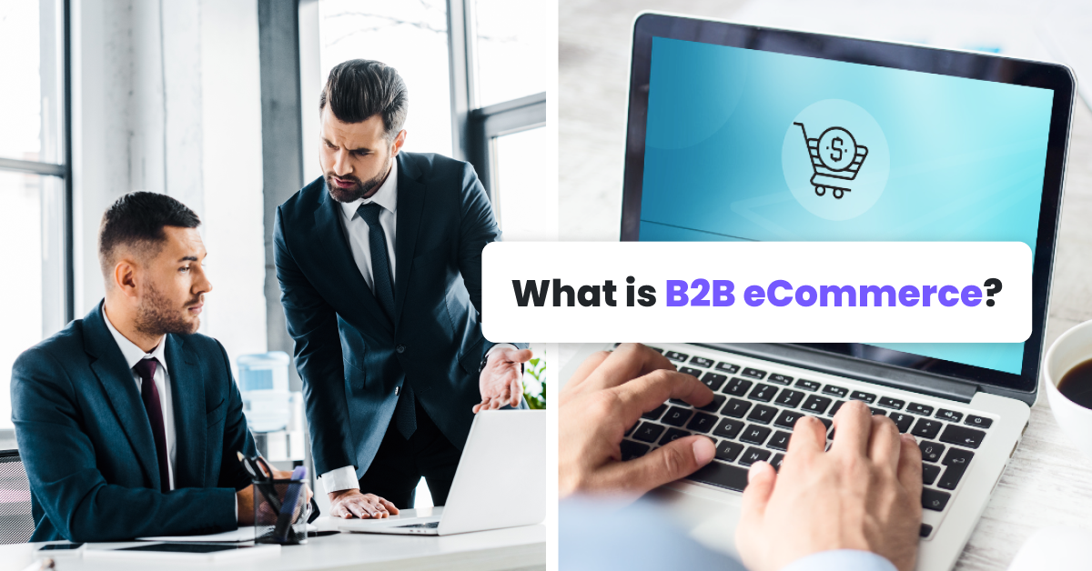 What is B2B eCommerce?